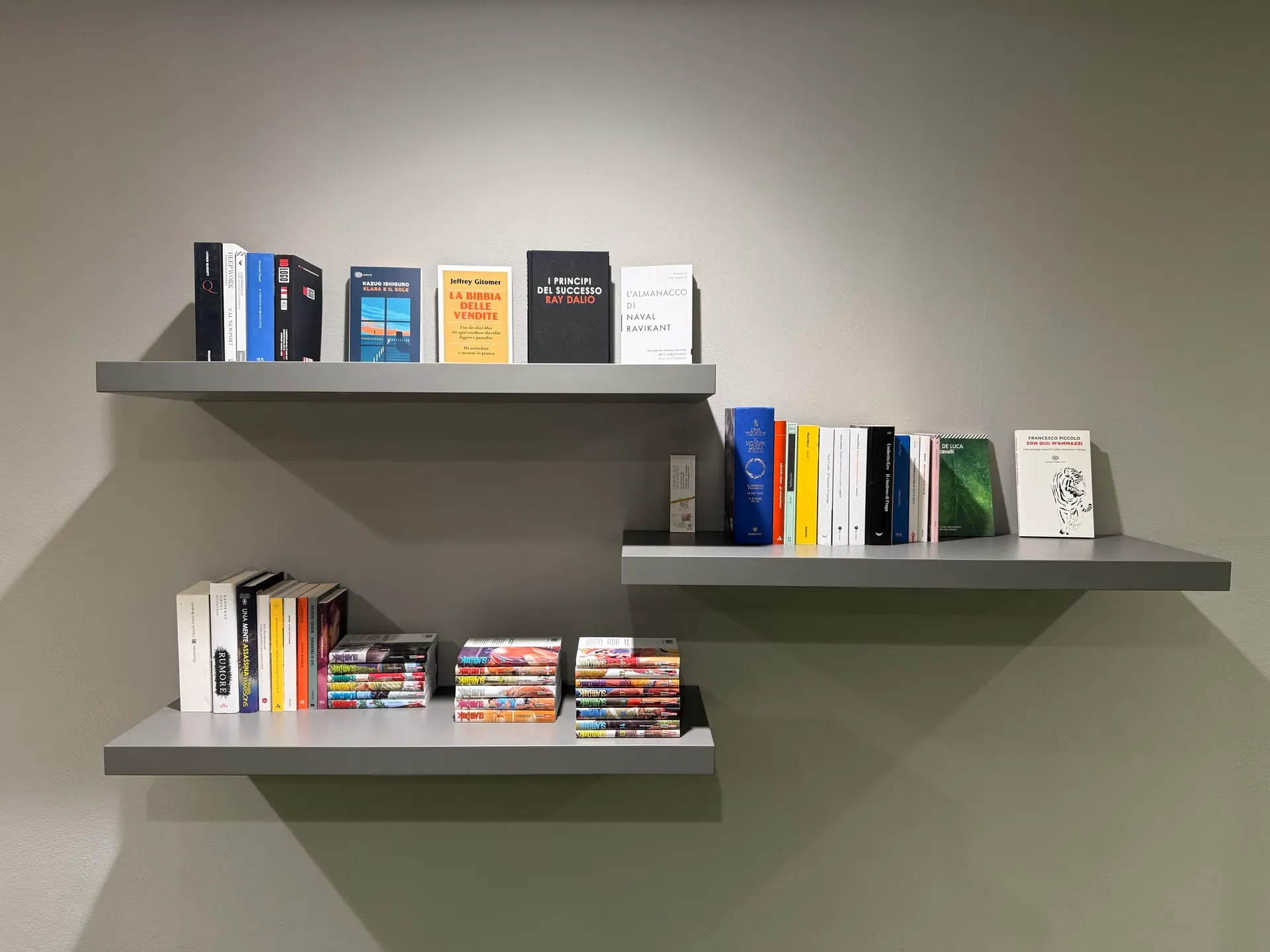 Temera Library Shelves
